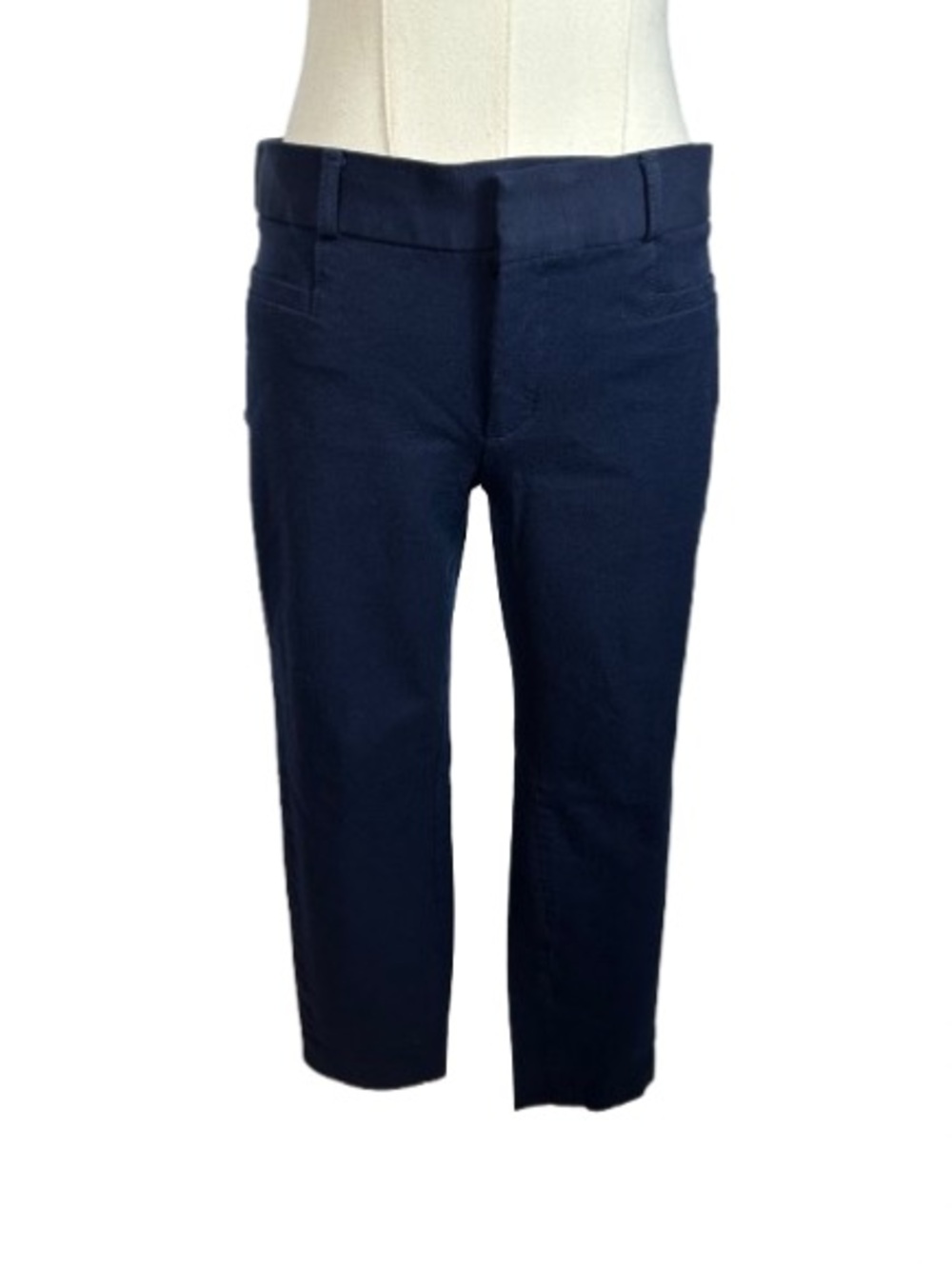 Banana Republic Sloan Petite Pants in Navy